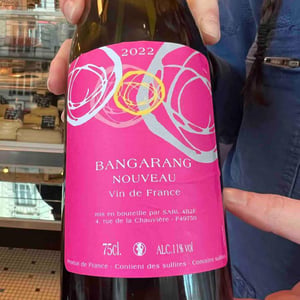 Bangarang Nouveau - Domaine Mosse - sylvestre-joseph-mosse -2022