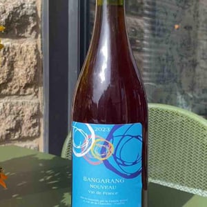Bangarang Nouveau - Domaine Mosse - sylvestre-joseph-mosse -2022