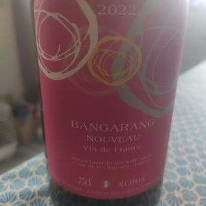 Domaine Mosse - Sylvestre & Joseph Mosse - Bangarang Primeur