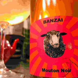 Banzai - Mas du Mouton Noir - cedric-mouton -2023