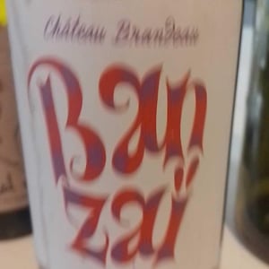 Banzai - Chateau Brandeau - Julien Voogt 