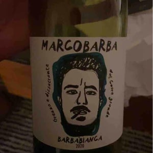 Barbabianca - Marco Barba - marco-bertoldo