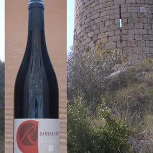 Barbacane - Domaine Rouaud - jerome-et-sophie-rouaud -2021