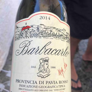 Barbacarlo 2014