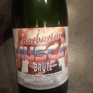 Barbarian Muscat Brute - Domaine Le Clocher - Les Vins de Sainte Anne - brendan-sean-tracey