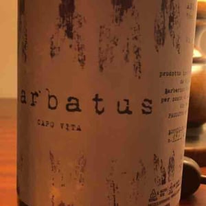 Barbatus Ansonica - Barbatus - marco-giordano-alessandro-acinelli-christoph-fischer -2022
