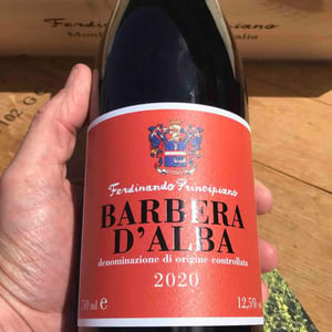 Barbera D’Alba - Azienda Agricola Principiano Ferdinando - ferdinando-principiano