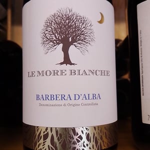 Barbera D’alba - Le More Bianche / レ・モーレ・ビアンケ - Bovio Alessandro -2019