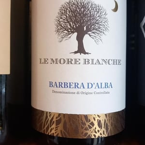 Barbera D’alba - Le More Bianche / レ・モーレ・ビアンケ - Bovio Alessandro -2019