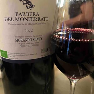 Barbera del Monferrato - Azienda Agricola Silvio Morando - Silvio Morando 