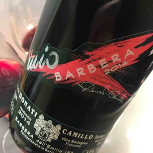 Barbera Dell'Emilia - Camillo Donati - camillo-donati