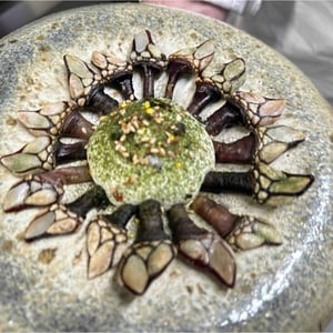 Barnacle, Wasabi, Yogurt - Kiss the Chef - 772123