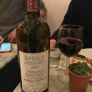 Barolo Paiagallo - Azienda Agricola Giovanni Canonica - Giovanni Canonica 
