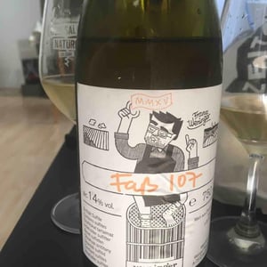 Fass 107 - Weingut Weninger (Austria) / Weninger Pincészet (Hungary) - franz-weninger