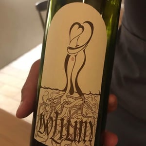 Dolium - Vinarstvo Zorjan - Marija & Božidar Zorjan 
