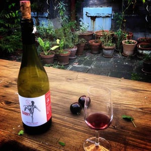 Ozil Frangins & Vignerons - Thomas & Jean-Daniel Ozil - Barry