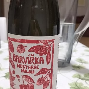 Barvířka - Milan Nestarec - Milan Nestarec 