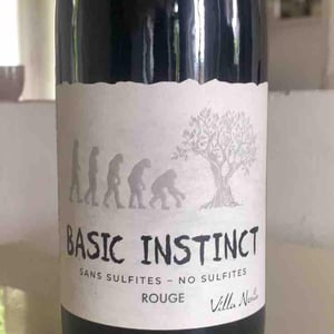 BASIC INSTINCT ROUGE - Villa Noria - cedric-arnaud-fabien-gross -2022