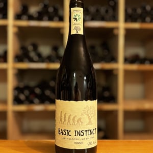 BASIC INSTINCT ROUGE - Villa Noria - cedric-arnaud-fabien-gross -2022