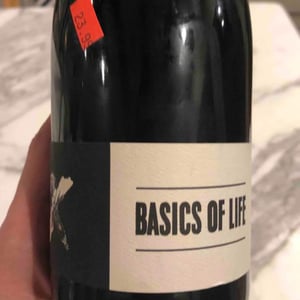 Basics of Life - Fredericksburg, TX - regan-carey-meador-information-requested