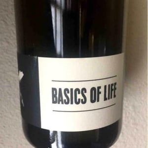 Basics of Life - Fredericksburg, TX - regan-carey-meador-information-requested