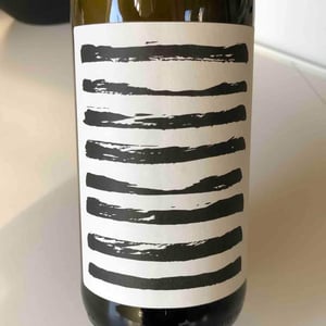 Basis Grüner Veltliner - Weingut Warnung - matthias-warnung