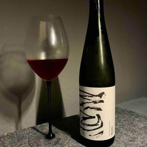 Basis Nobody - Weingut Warnung - matthias-warnung