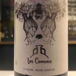 Patxanguero - Los Comuns - jordi-escoda-agusti-perello