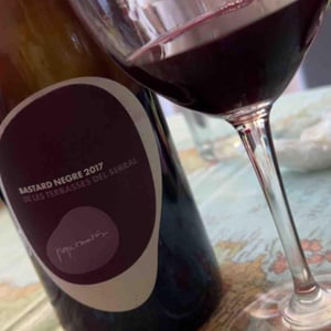 Bastard Negre de les Terrasses del Serral - Vins Pepe Raventós - pepe-raventos-2i