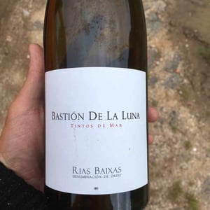 Bastion De La Luna - Bodegas y Viñedos Rodrigo Méndez/Bodegas Forjas del Salné - Rodrigo Méndez 