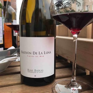 Bastion De La Luna - Bodegas y Viñedos Rodrigo Méndez/Bodegas Forjas del Salné - Rodrigo Méndez 