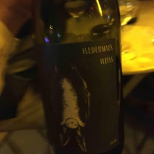 Fledermaus (white) - 2 Naturkinder - melanie-drese-michael-volker