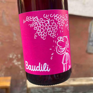 Baudili - Ramon Jané Viticultor - Ramón Jané -2022