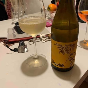 Ramon Jané Viticultor - Ramón Jané - Baudili