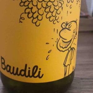 Baudili - Ramon Jané Viticultor - Ramón Jané 