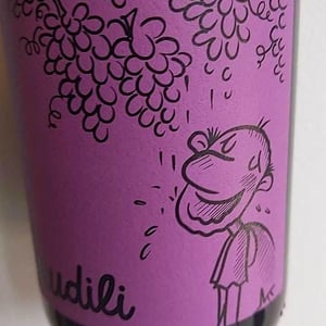 Baudili (Tinto) - Mas Candí - ramon-jane-merce-cusco-toni-carbo-ramon-galimany