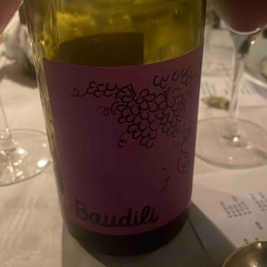Baudili (Tinto) - Mas Candí - ramon-jane-merce-cusco-toni-carbo-ramon-galimany