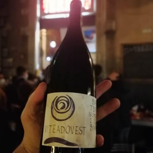 Bayt - Viteadovest - vincenzo-angileri-qu -2020