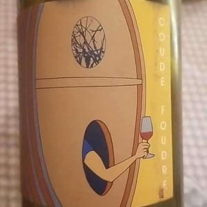 Coup Double - Domaine Thillardon - Aude, Jean-Baptiste, Charles et Paul-Henri Thillardon -2019