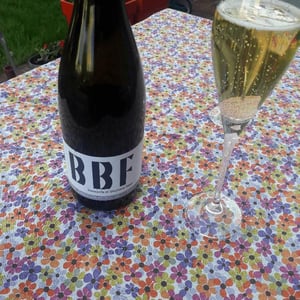 BBF - Domaine André & Mireille Tissot - benedicte-stephane-tissot