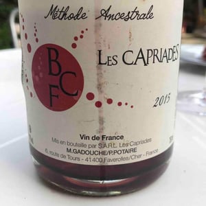 BCF - Les Capriades - Pascal Potaire & Moses Gadouche 