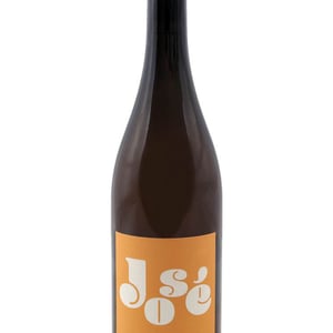 José - Domaine Frédéric Mabileau - Rémy Mabileau -2021