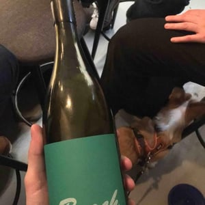 Beach - Shobbrook Wines - Tom Shobbrook 
