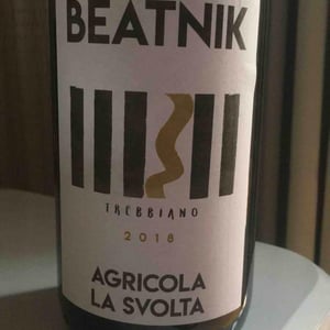 Beatnik - Niccolò Lari - niccolo-lari-5n
