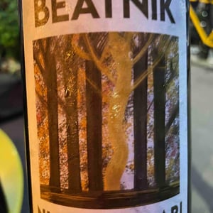 Beatnik - Niccolò Lari - Niccolò Lari 