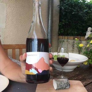 Domaine des Sonnettes - Sonshine Vins - Edouard Gouyette & Lisanne van Son - Beau Gosse