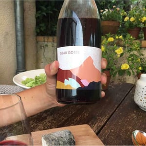 Domaine des Sonnettes - Sonshine Vins - Edouard Gouyette & Lisanne van Son - Beau Gosse
