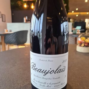 Beaujolais - Domaine Métras - yvon-metras