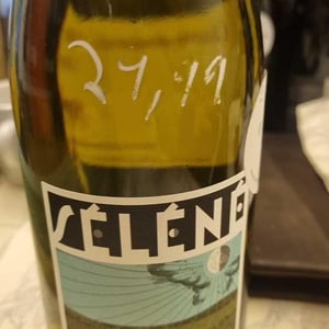 Beaujolais Villages Blanc - Séléné - Sylvère Trichard 