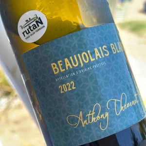 Beaujolais Blanc - Anthony Thevenet - anthony-thevenet -2022
